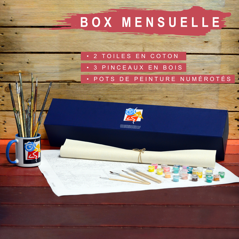 Box Mensuelle 3 Mois - 2 Kits De Peinture Par Numéros Inédits
