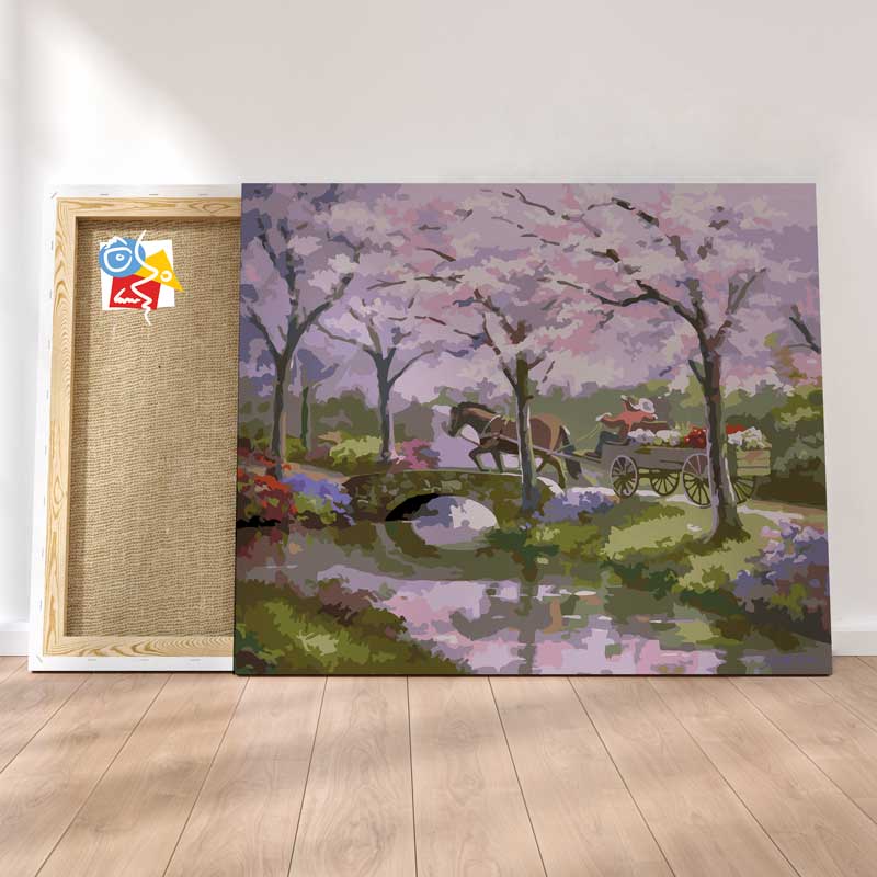 Balade Sous Les Cerisiers En Fleurs