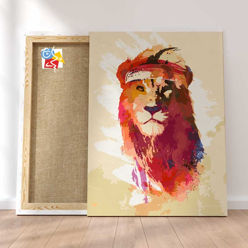 Lion Gymnaste
