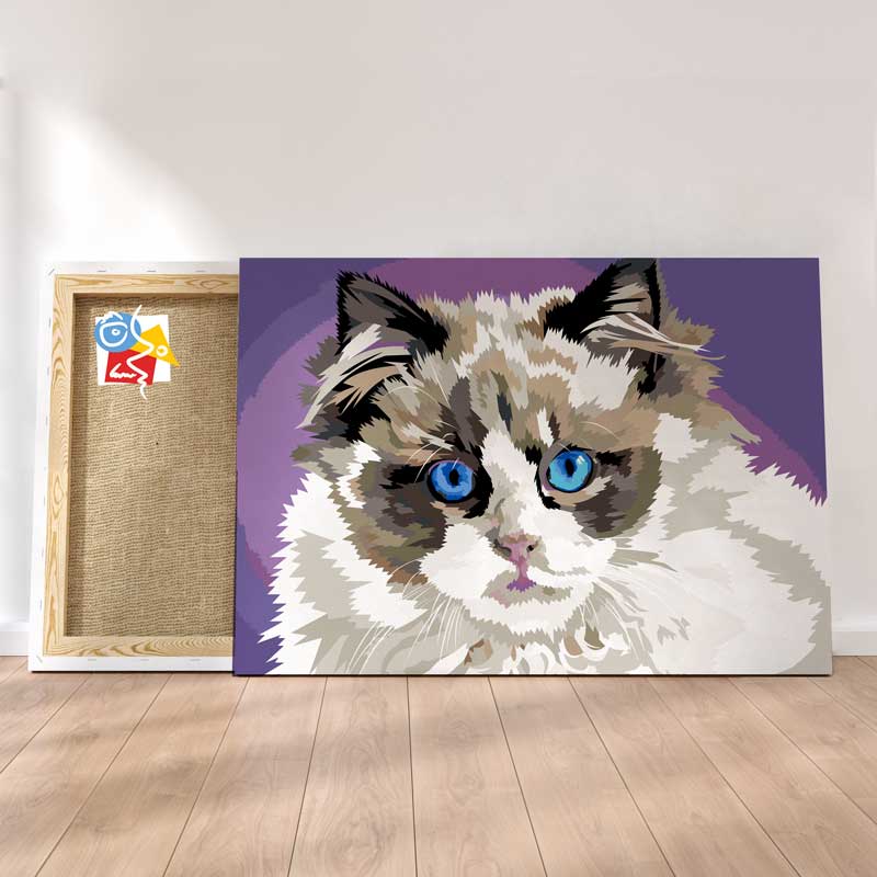 Chat Violet