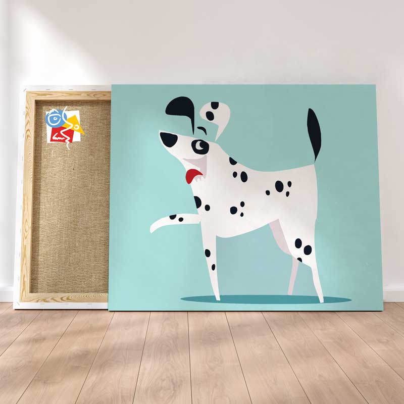 Dalmatien Joueur