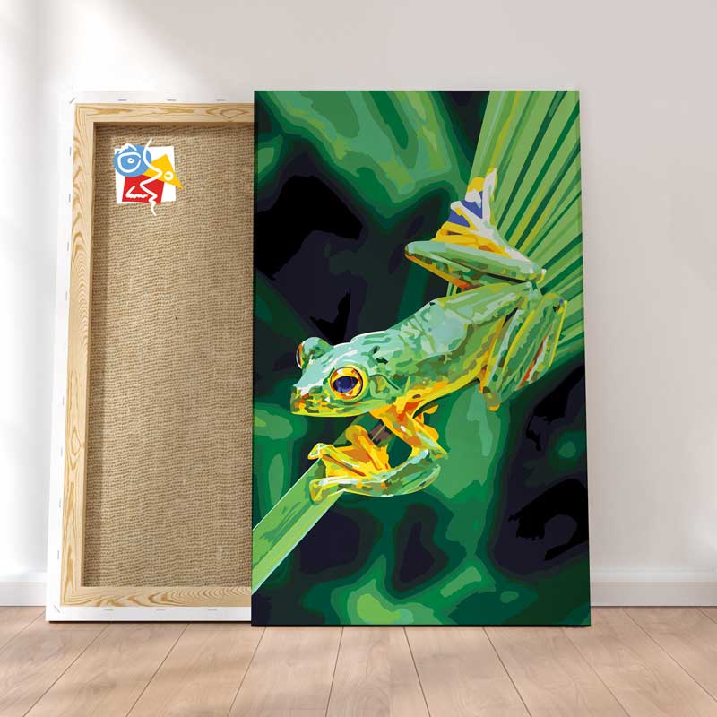 Grenouille Sur Une Feuille