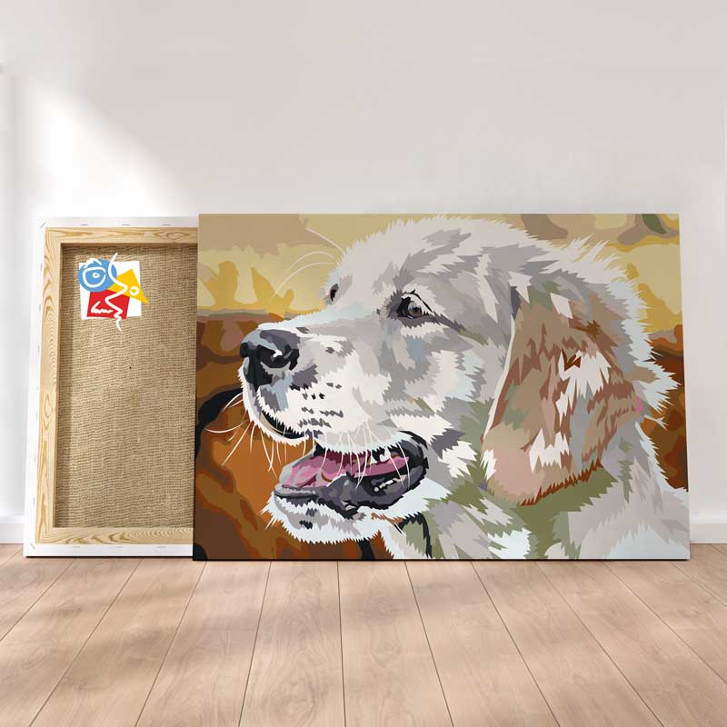 Labrador