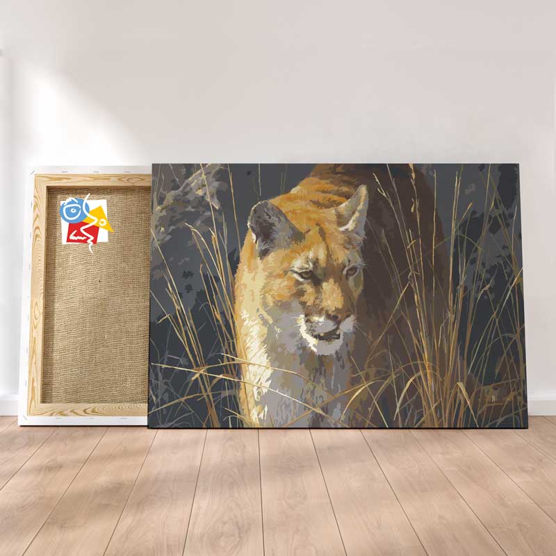 Puma Dans Les Hautes Herbes