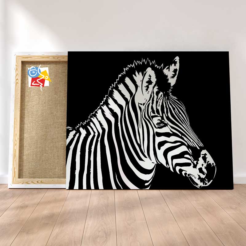 Zbre Noir & Blanc