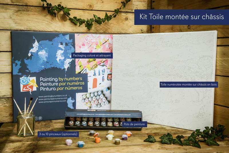 Personnalisée Peinture par Numéros pour Adultes et Enfants Kits