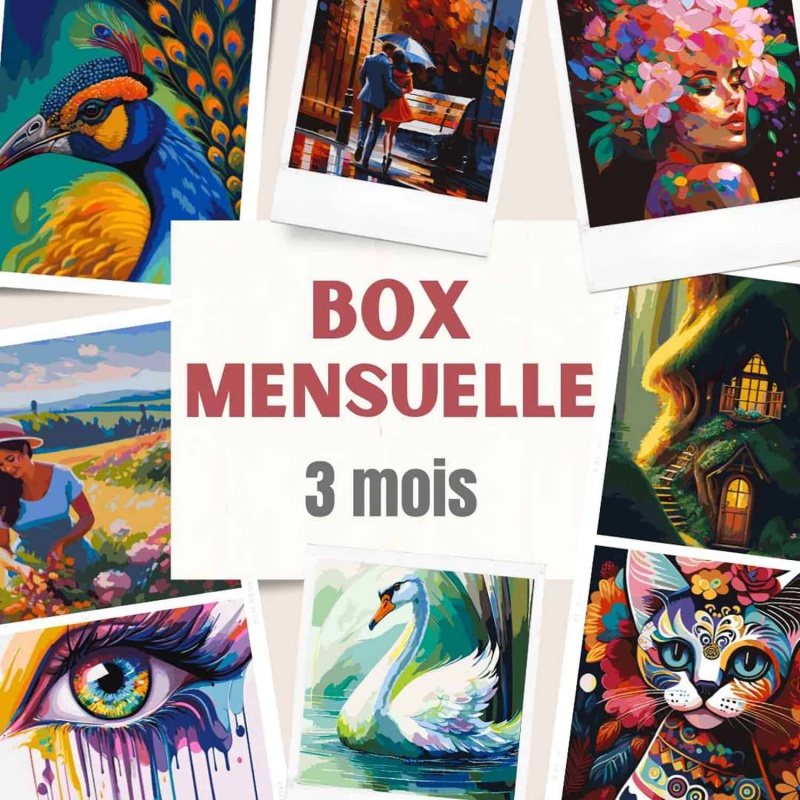 Box Mensuelle 3 Mois - 2 Kits De Peinture Par Numéros