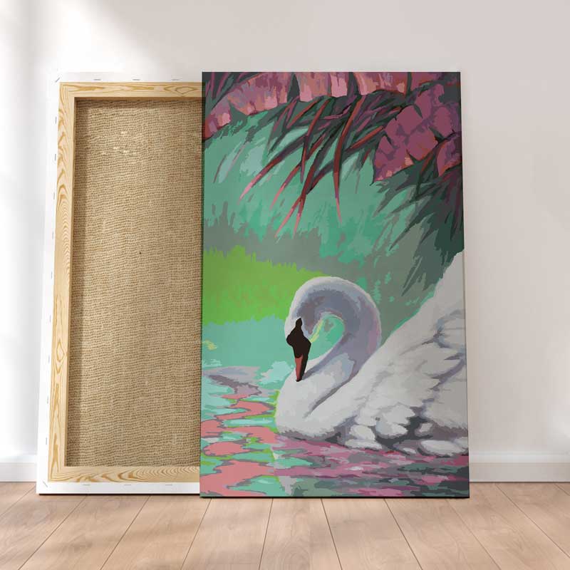 Cygne Gracieux