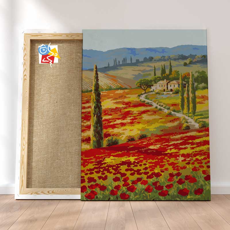 Champs De Coquelicot
