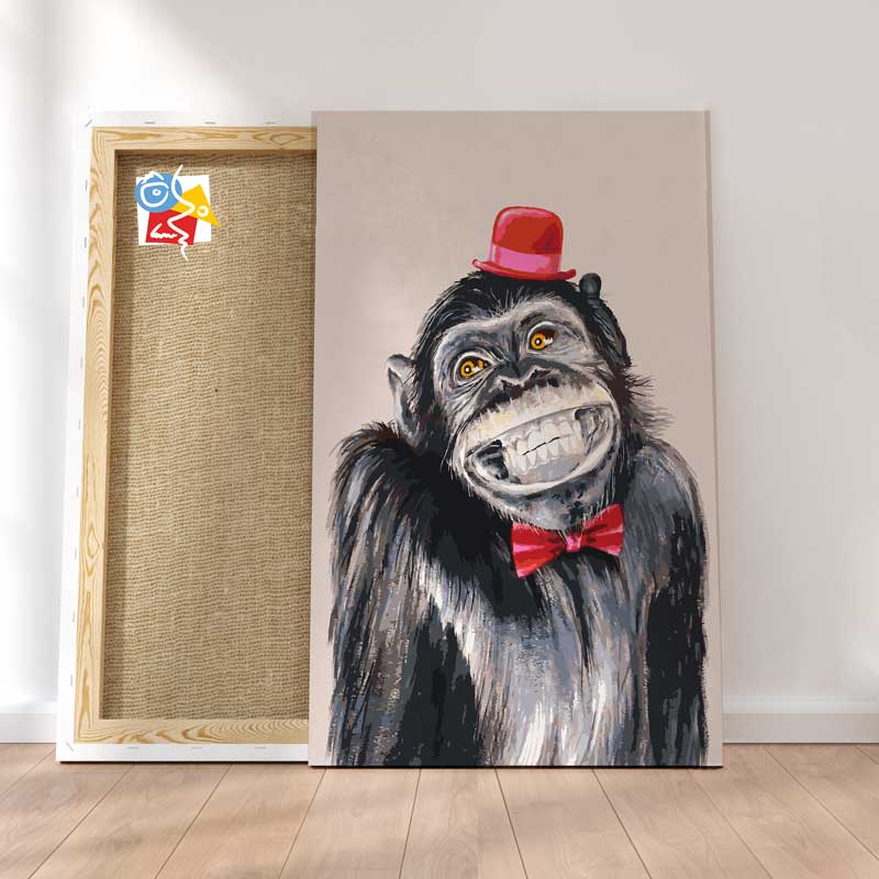 Affaires De Singe