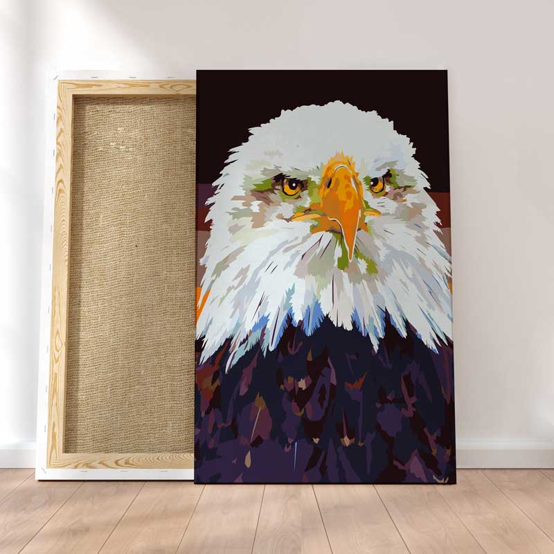 Aigle