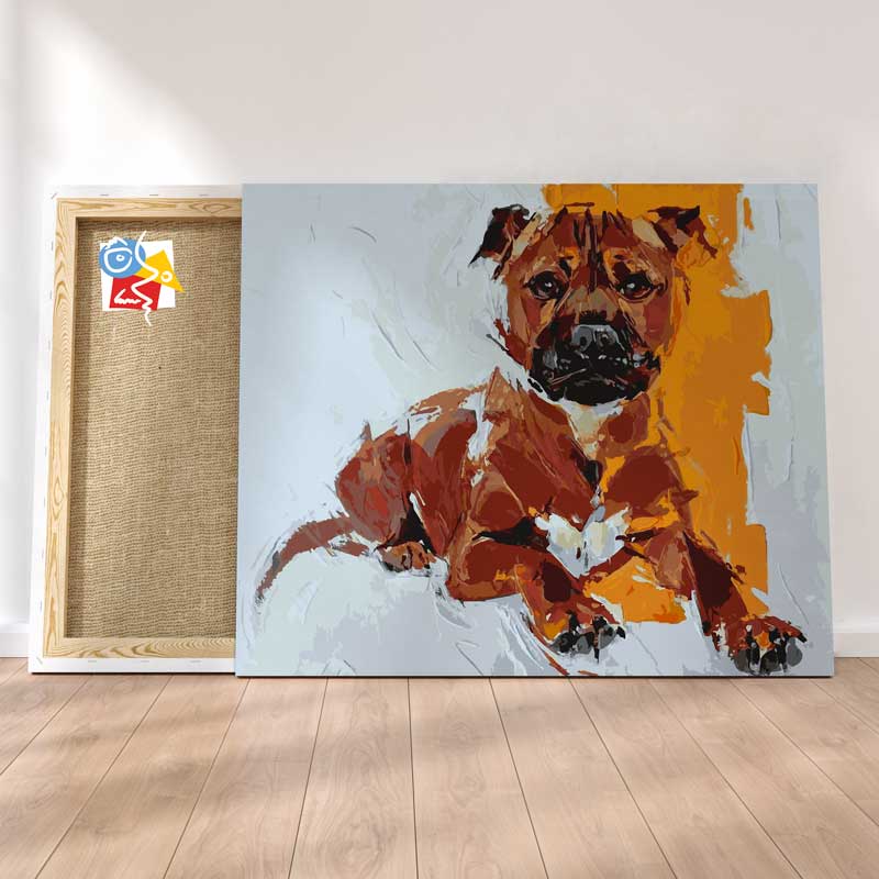 Boxer