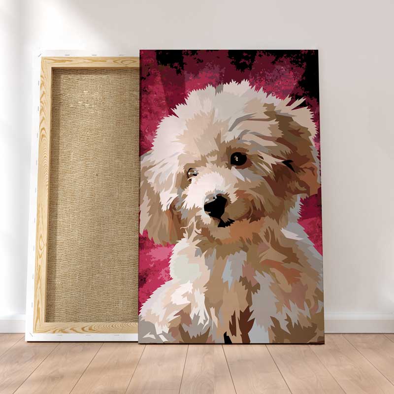 Caniche