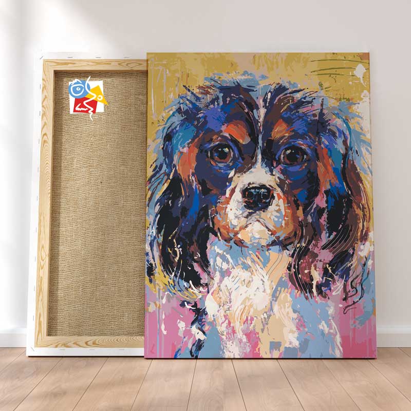 Cavalier King Charles Color
