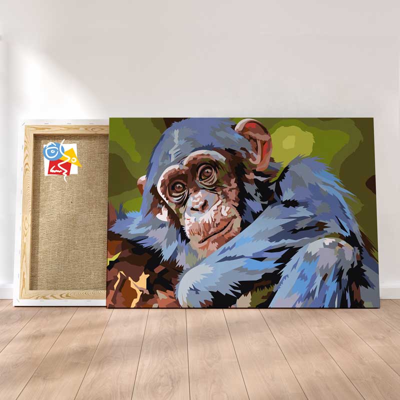 Chimpanz