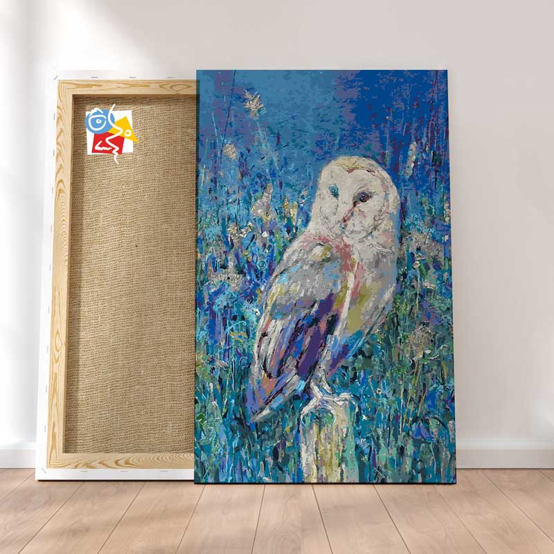 Hibou D't