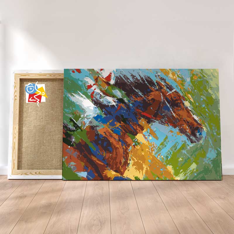 Jockey Color Moderne