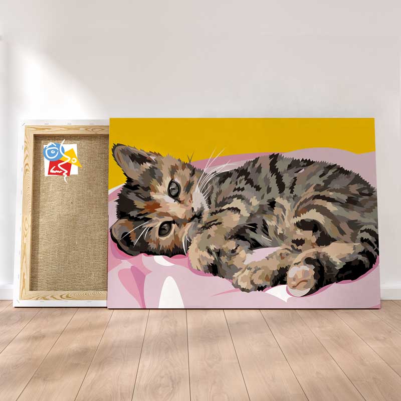 Joli Petit Chaton
