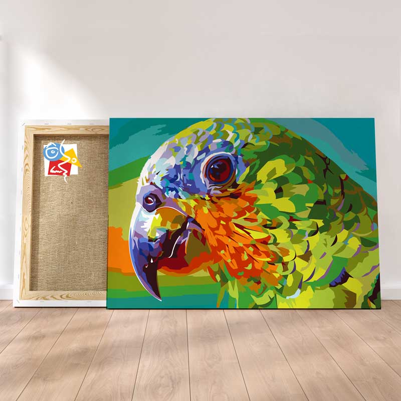 Perroquet Multicolore