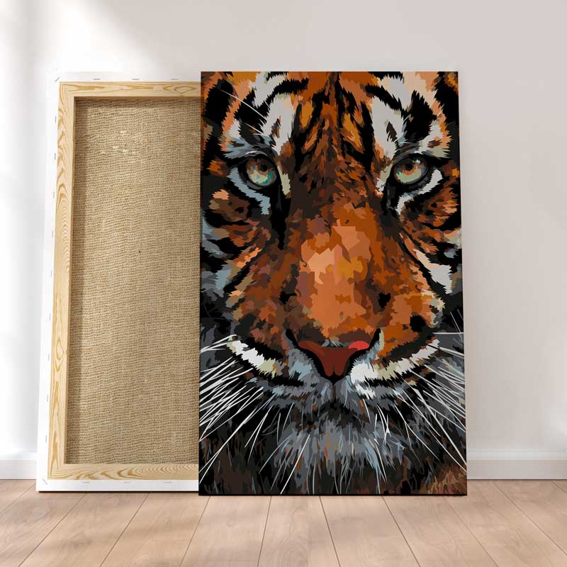 Plan Serr Du Tigre