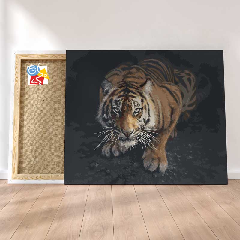 Tigre A L'Affut